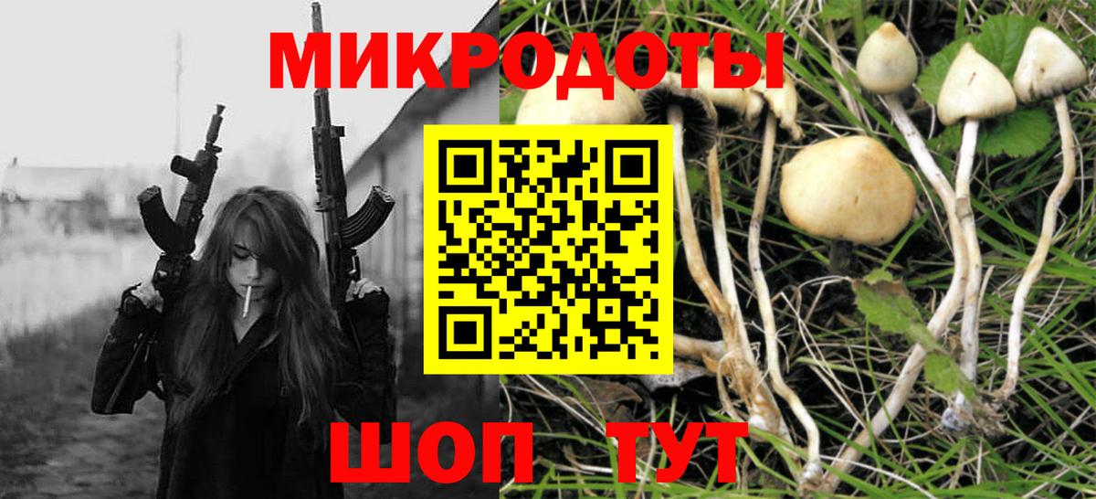 Галлюциногенные грибы Cubensis Саяногорск